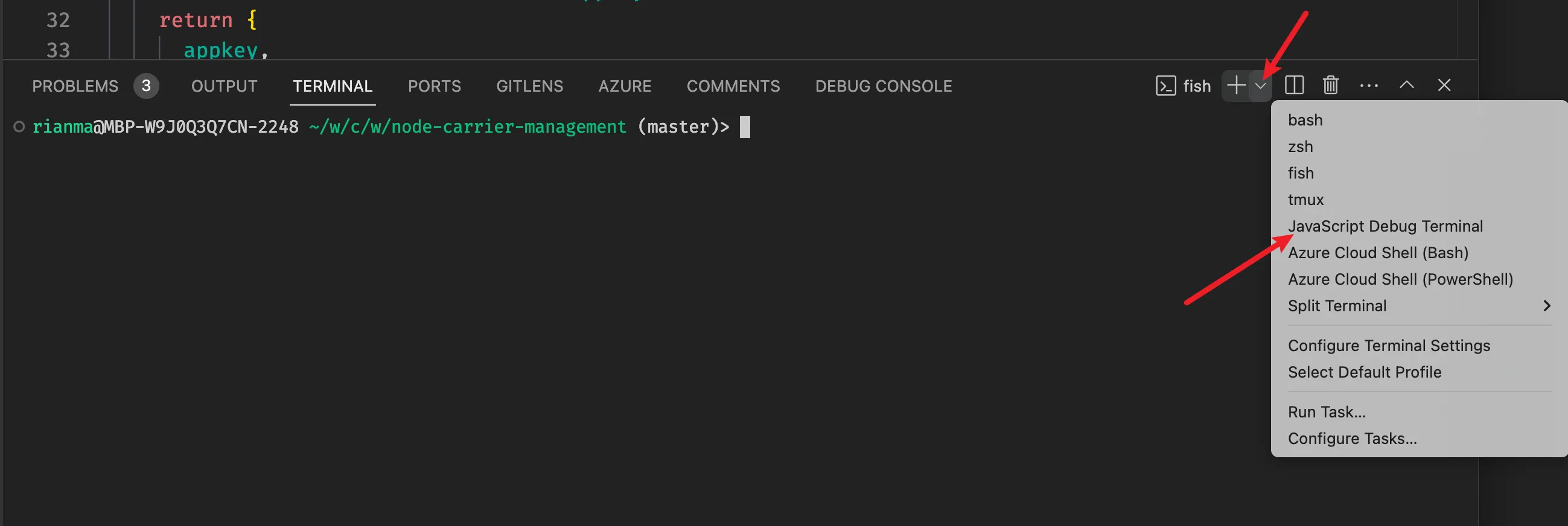 选择 JavaScript Debug Terminal